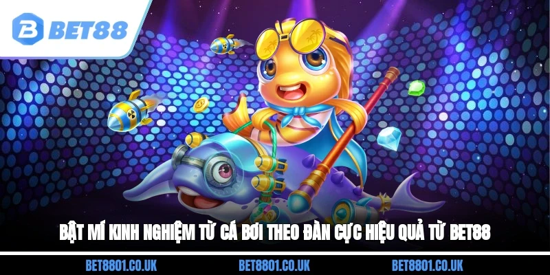 Bật mí kinh nghiệm từ cá bơi theo đàn cực hiệu quả từ Bet88