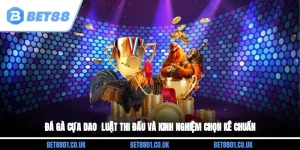 Đá Gà Cựa Dao - Luật Thi Đấu Và Kinh Nghiệm Chọn Kê Chuẩn