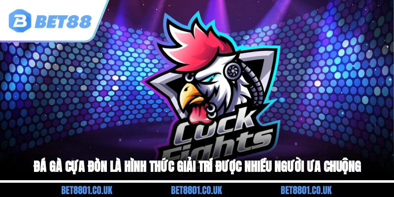 Đá gà cựa đòn là hình thức giải trí được nhiều người ưa chuộng