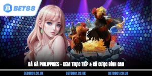 Đá Gà Philippines – Xem Trực Tiếp & Cá Cược Đỉnh Cao