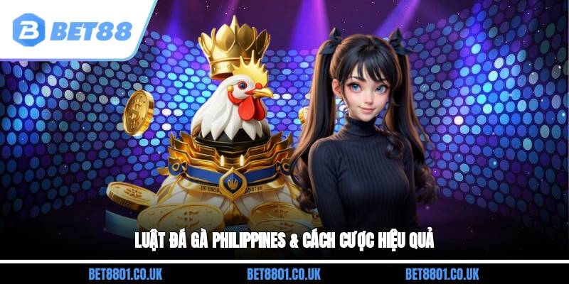 Luật đá gà Philippines & Cách cược hiệu quả
