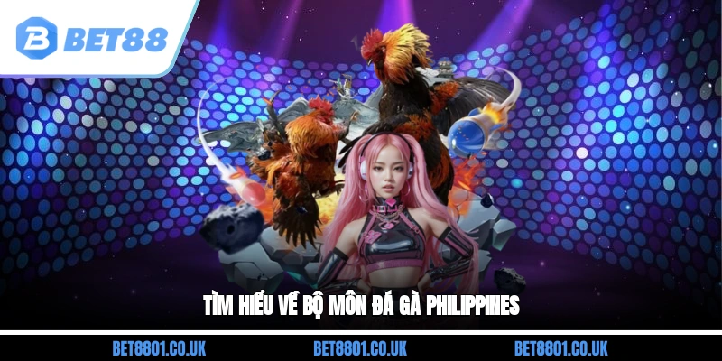 Tìm hiểu về bộ môn đá gà Philippines